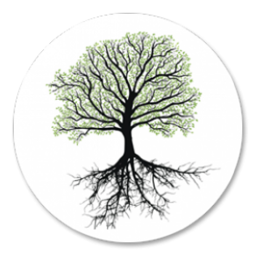 Fig Tree Training Institute Foundation - Translation of Courses